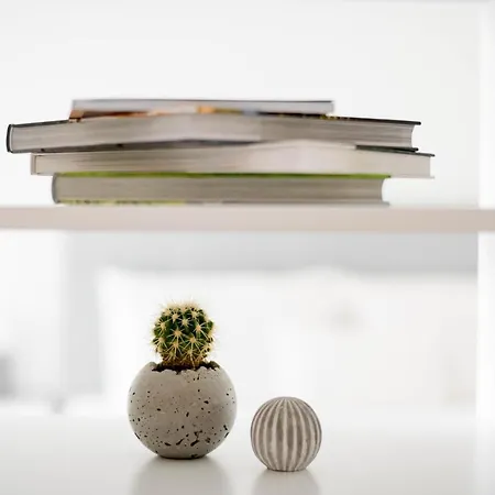 White Innk Center Apartment